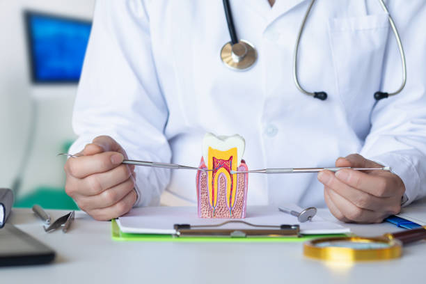 Best Emergency Orthodontic Services in Blanco, TX